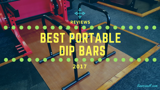 best portable dip bars 2017