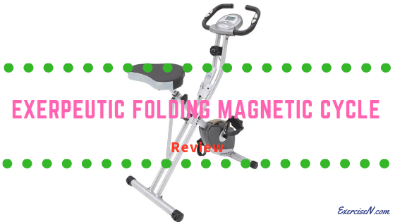 Exerputic Magnetic Cycle Review