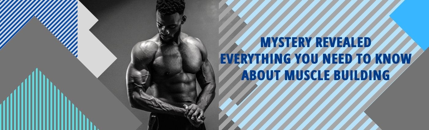 Mystery Revealed: Everything You Need To Know About Muscle Building